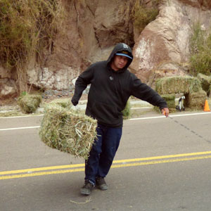 ORGANIZACIÓN, LOGÍSTICA Y PRODUCCIÓN | CACHEUTA DOWNHILL SKATE 2025