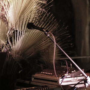 PRODUCCIÓN Y CURADURÍA ARTÍSTICA | CREW | ENTROPÍA - ARBOLEDA CERRO DE LA GLORIA 2024