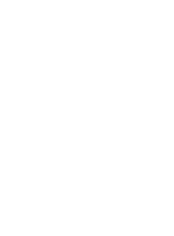 Mendoza Shopping